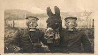 ESPLENDOR YCATÁSTROFE