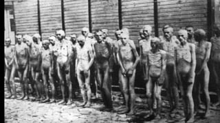 ESPLENDOR YCATÁSTROFE