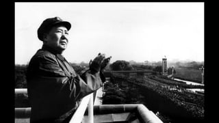 ESPLENDOR YCATÁSTROFE