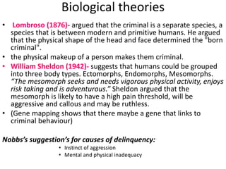 Biological theories 
• Lombroso (1876)- argued that the criminal is a separate species, a 
species that is between modern and primitive humans. He argued 
that the physical shape of the head and face determined the "born 
criminal". 
• the physical makeup of a person makes them criminal. 
• William Sheldon (1942)- suggests that humans could be grouped 
into three body types. Ectomorphs, Endomorphs, Mesomorphs. 
“The mesomorph seeks and needs vigorous physical activity, enjoys 
risk taking and is adventurous.” Sheldon argued that the 
mesomorph is likely to have a high pain threshold, will be 
aggressive and callous and may be ruthless. 
• (Gene mapping shows that there maybe a gene that links to 
criminal behaviour) 
Nobbs’s suggestion’s for causes of delinquency: 
• Instinct of aggression 
• Mental and physical inadequacy 
 