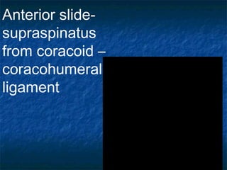 Anterior slide-
supraspinatus
from coracoid –
coracohumeral
ligament
 