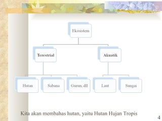 Kita akan membahas hutan, yaitu Hutan Hujan Tropis 