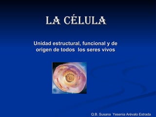 Unidad estructural, funcional y de origen de todos  los seres vivos ,[object Object],Q.B. Susana  Yesenia Arévalo Estrada 