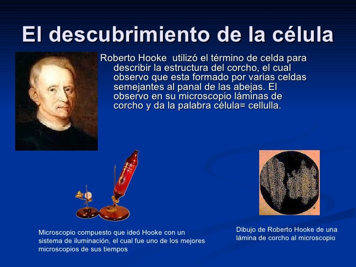 LA CELULA