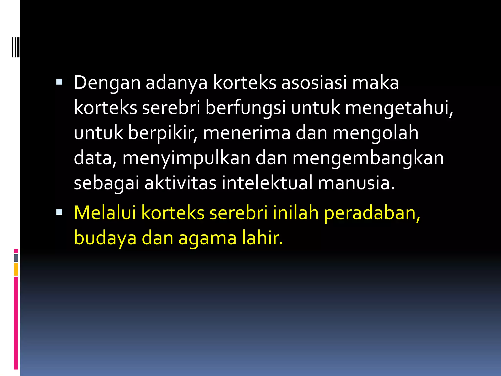  Dengan adanya korteks asosiasi maka
korteks serebri berfungsi untuk mengetahui,
untuk berpikir, menerima dan mengolah
data, menyimpulkan dan mengembangkan
sebagai aktivitas intelektual manusia.
 Melalui korteks serebri inilah peradaban,
budaya dan agama lahir.
 