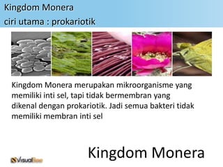 Kingdom Monera
ciri utama : prokariotik




 Kingdom Monera merupakan mikroorganisme yang
 memiliki inti sel, tapi tidak bermembran yang
 dikenal dengan prokariotik. Jadi semua bakteri tidak
 memiliki membran inti sel



                      Kingdom Monera
 