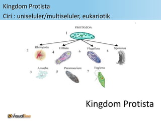 Kingdom Protista
Ciri : uniseluler/multiseluler, eukariotik




                                Kingdom Protista
 