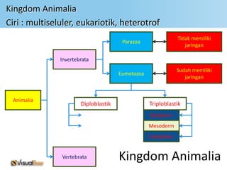 Kingdom Animalia
Ciri : multiseluler, eukariotik, heterotrof
                                                             Tidak memiliki
                                       Parazoa
                                                                jaringan

               Invertebrata
                                                             Sudah memiliki
                                      Eumetazoa
                                                                jaringan



 Animalia
                       Diploblastik               Triploblastik
                                                  Ektoderm
                                                  Mesoderm
                                                  Endoderm


               Vertebrata             Kingdom Animalia
 