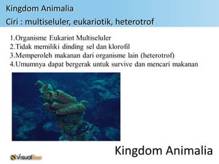 Kingdom Animalia
Ciri : multiseluler, eukariotik, heterotrof




                               Kingdom Animalia
 