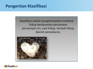 Pengertian Klasifikasi


       Klasifikasi adalah pengelompokan makhluk
                hidup berdasarkan persamaan
         persamaan ciri, cara hidup, tempat hidup,
                     daerah penyebaran.
 