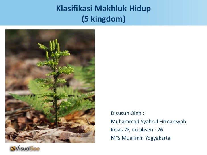 Klasifikasi Makhluk Hidup 5 Kingdom Klasifikasi Makhluk Hidup 5 Kingdom