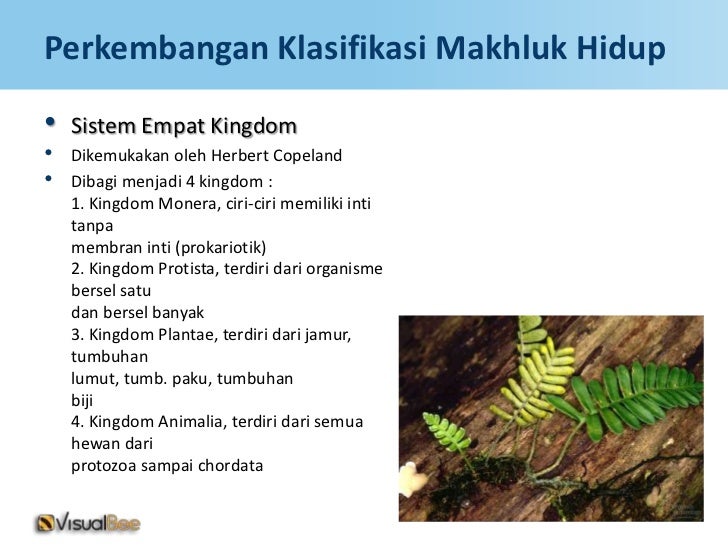 Klasifikasi Makhluk hidup 5 kingdom