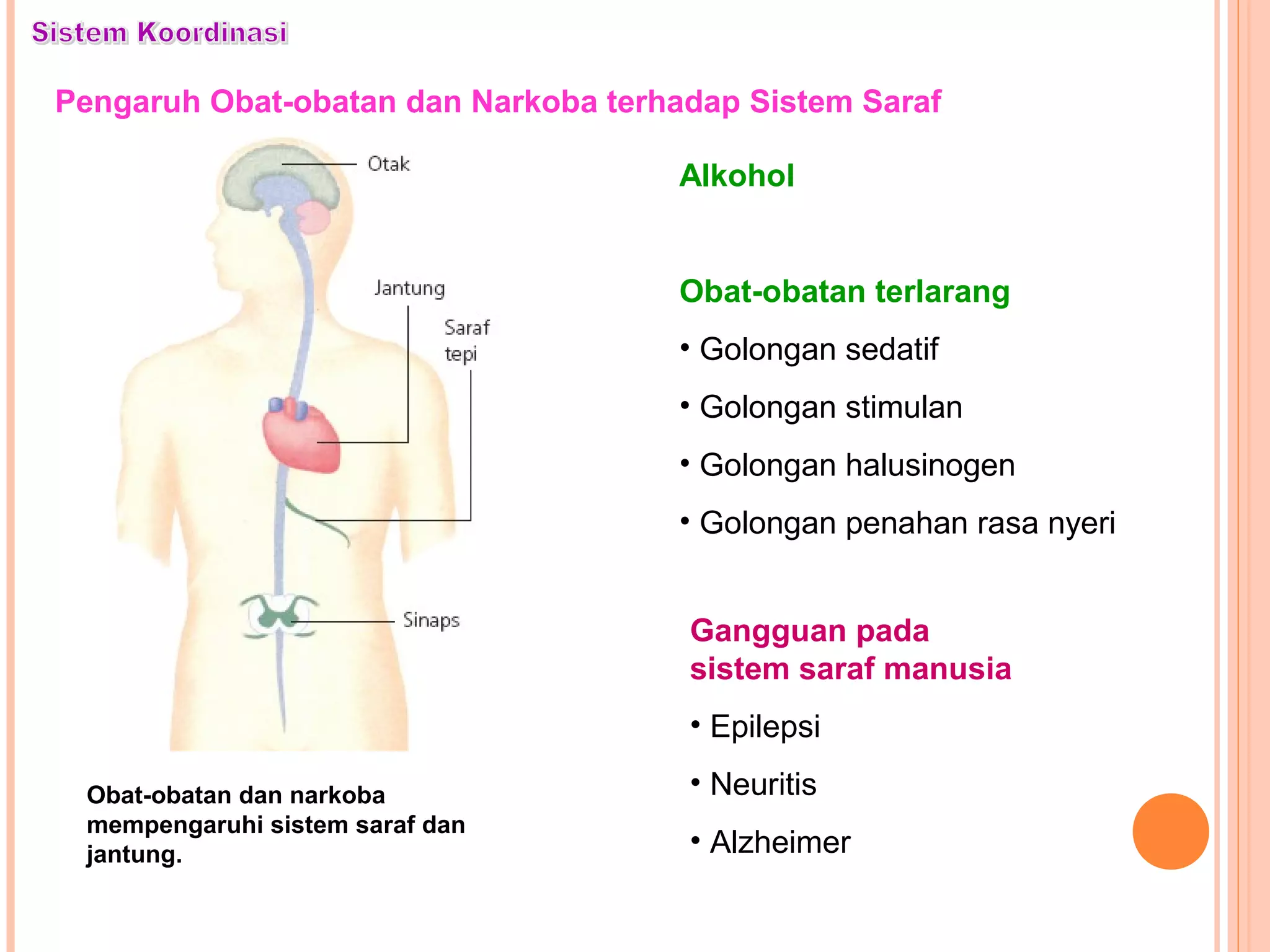 Pengaruh Obat-obatan dan Narkoba terhadap Sistem Saraf
Obat-obatan dan narkoba
mempengaruhi sistem saraf dan
jantung.
Alkohol
Obat-obatan terlarang
• Golongan sedatif
• Golongan stimulan
• Golongan halusinogen
• Golongan penahan rasa nyeri
Gangguan pada
sistem saraf manusia
• Epilepsi
• Neuritis
• Alzheimer
 