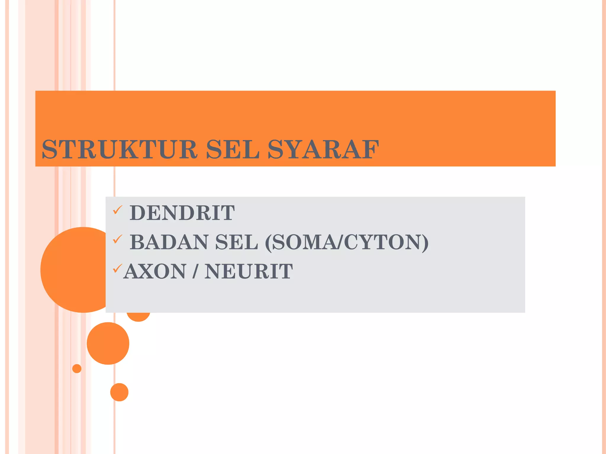 STRUKTUR SEL SYARAF
 DENDRIT
 BADAN SEL (SOMA/CYTON)
AXON / NEURIT
 