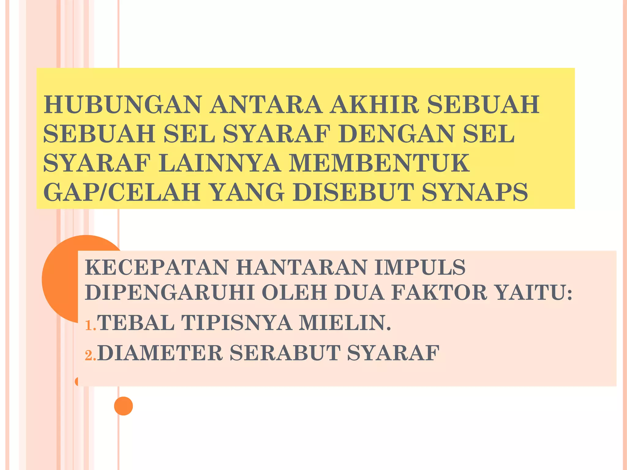 HUBUNGAN ANTARA AKHIR SEBUAH
SEBUAH SEL SYARAF DENGAN SEL
SYARAF LAINNYA MEMBENTUK
GAP/CELAH YANG DISEBUT SYNAPS
KECEPATAN HANTARAN IMPULS
DIPENGARUHI OLEH DUA FAKTOR YAITU:
1.TEBAL TIPISNYA MIELIN.
2.DIAMETER SERABUT SYARAF
 