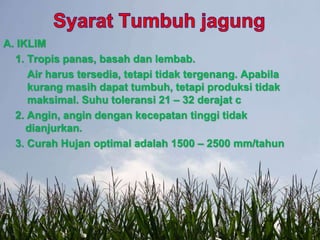 A. IKLIM
1. Tropis panas, basah dan lembab.
Air harus tersedia, tetapi tidak tergenang. Apabila
kurang masih dapat tumbuh, tetapi produksi tidak
maksimal. Suhu toleransi 21 – 32 derajat c
2. Angin, angin dengan kecepatan tinggi tidak
dianjurkan.
3. Curah Hujan optimal adalah 1500 – 2500 mm/tahun
 