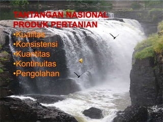 Syarat tumbuh jagung