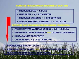  PRODUKTIVITAS = 4,2 t/ha
 LUAS AREAL = 4,1 JUTA HEKTAR
 PRODUKSI NASIONAL = + 17,8 JUTA TON
 TARGET PRODUKSI NASIONAL = 22 JUTA TON
KONDISI PERJAGUNGAN INDONESIA SAAT INI
POTENSI DAN PELUANG PERJAGUNGAN INDONESIA
 PRODUKTIVITAS VARIETAS UNGGUL = 7,0 – 12,0 t/ha
 KEBUTUHAN TERUS MENINGKAT DALAM & LUAR NEGERI
 HARGA SANGAT PROSPEKTIF
 LAHAN KERING = + 20 JUTA HEKTAR
 PENINGKATAN PRODUKTIVITAS
 PERLUASAN AREAL TANAM PENINGKATAN IP (SAWAH)
 PENAMBAHAN LUAS TANAM LAHAN KERING
 