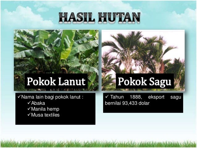 syarikat borneo utara british