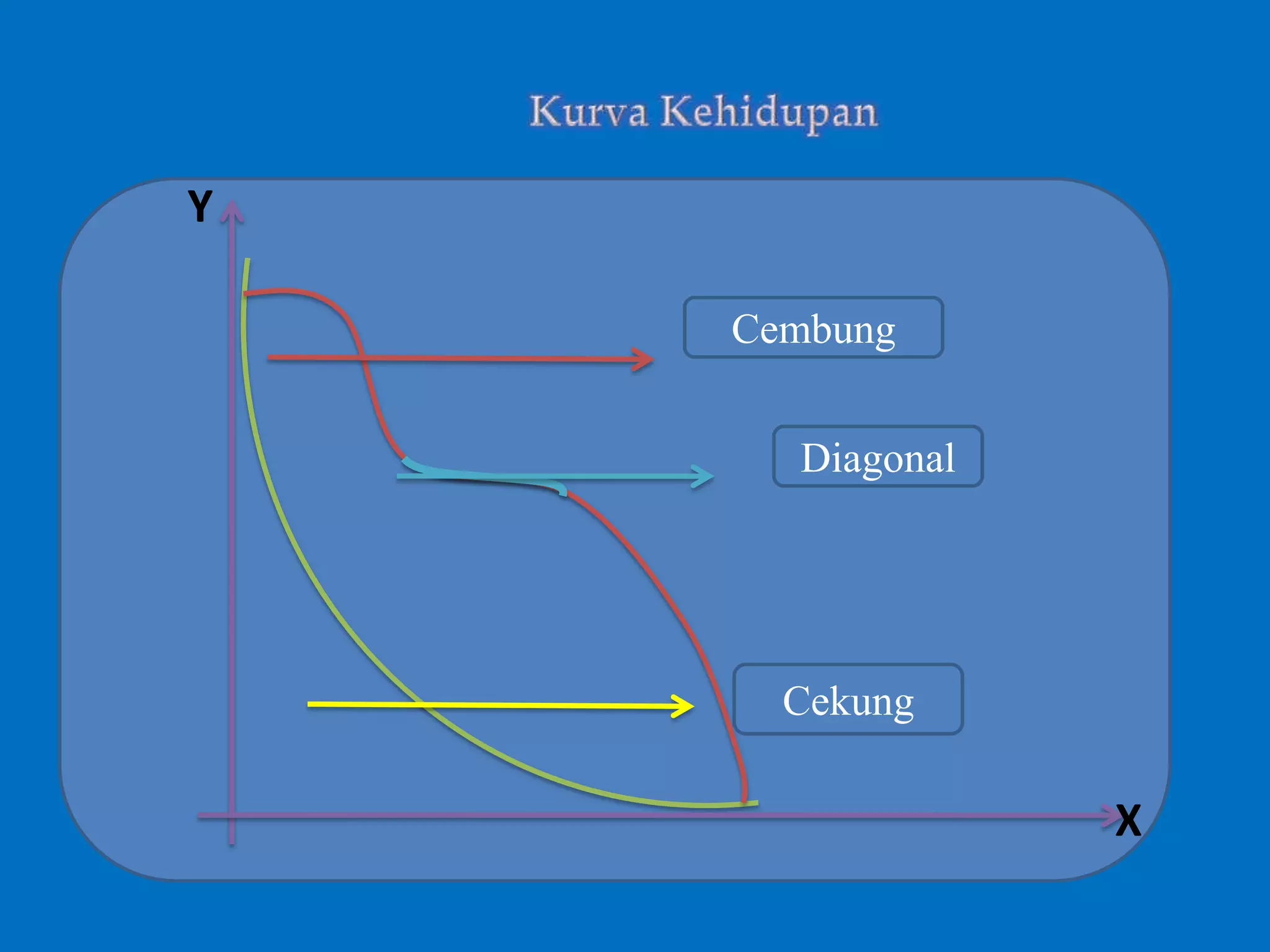 Y
X
Cembung
Diagonal
Cekung
 