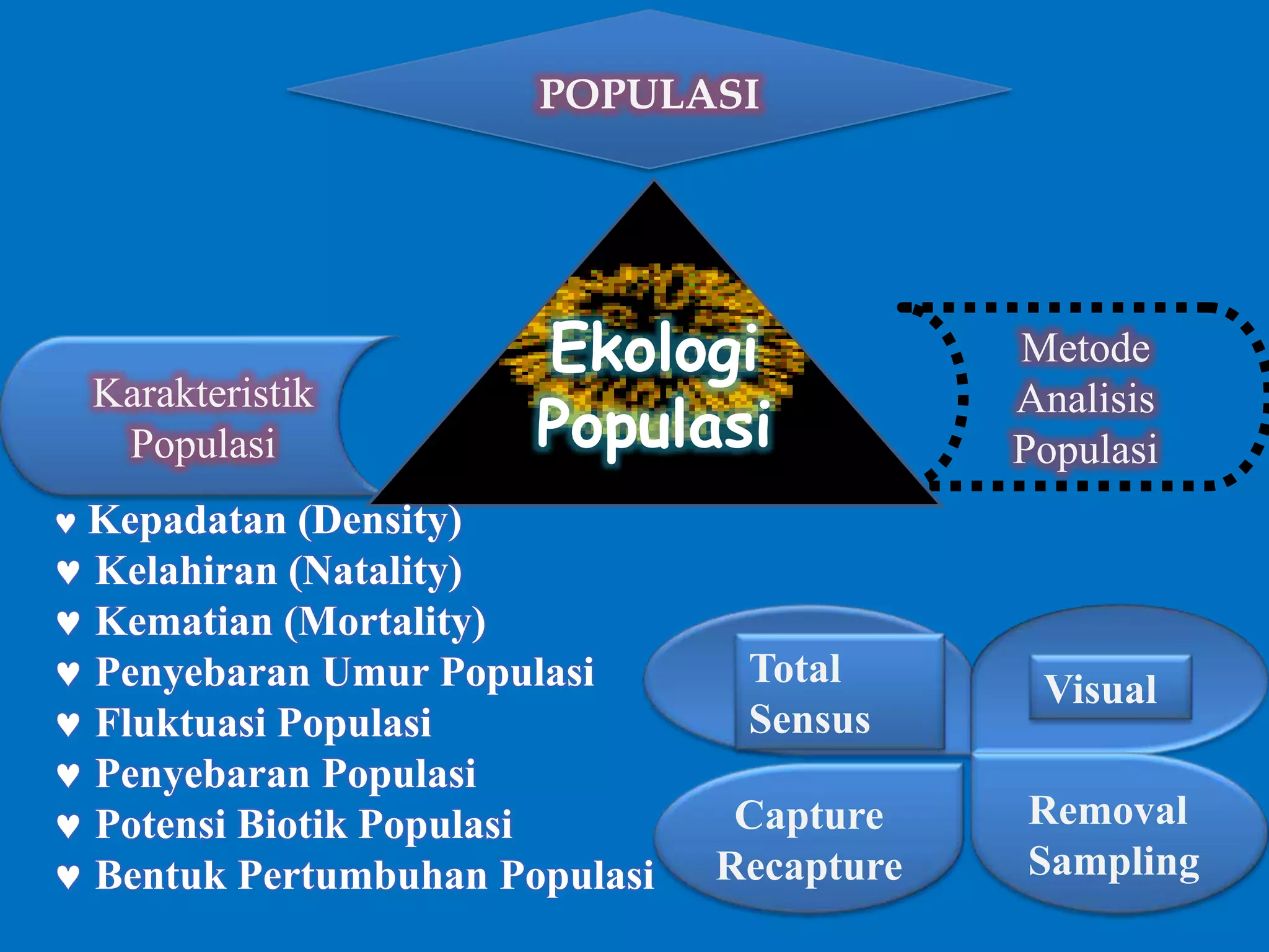 POPULASI
Karakteristik
Populasi
Metode
Analisis
Populasi
Ekologi
Populasi
Kepadatan (Density)
Kelahiran (Natality)
Kematian (Mortality)
Penyebaran Umur Populasi
Fluktuasi Populasi
Penyebaran Populasi
Potensi Biotik Populasi
Bentuk Pertumbuhan Populasi
Total
Sensus
Visual
Capture
Recapture
Removal
Sampling
 