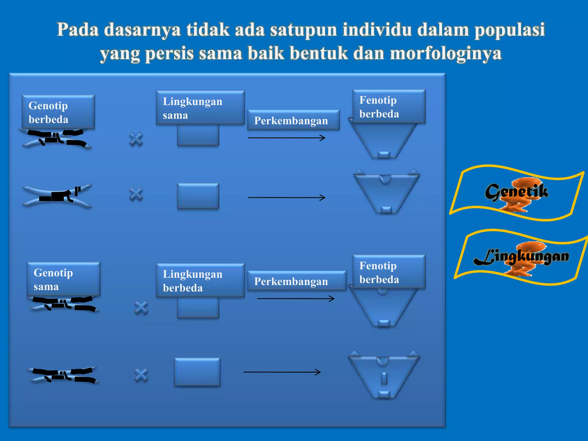 Pada dasarnya tidak ada satupun individu dalam populasi
yang persis sama baik bentuk dan morfologinya
Genotip
berbeda
Genotip
sama
Lingkungan
sama
Lingkungan
berbeda
Perkembangan
Perkembangan
Fenotip
berbeda
Fenotip
berbeda
Genetik
Lingkungan
 