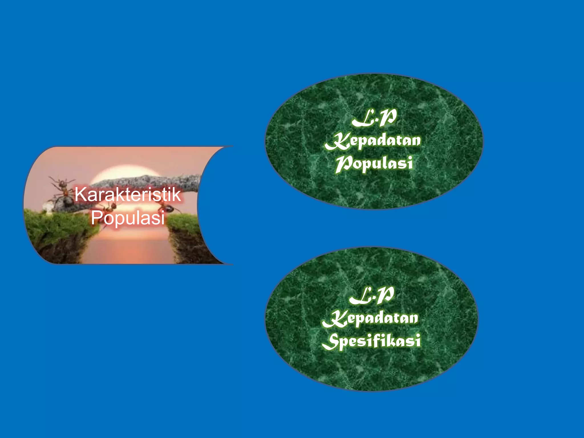 Karakteristik
Populasi
L.P
Kepadatan
Populasi
L.P
Kepadatan
Spesifikasi
 