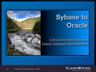 Sybase to
                                                       Oracle
                                               Critical information for new
                                          Oracle Database Administrators




1-1   Sybase to Oracle Migration - DBAs
 