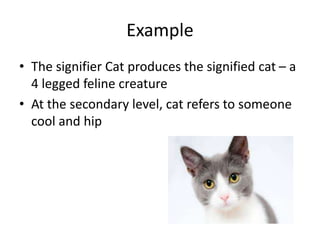 Signified Example Semiology_mmr_bmm_selvi | PPTX