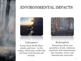 ENVIRONMENTAL IMPACTS
Lithosphere
It may burn all the flora -
plants and trees - in the
region, which may render the
soil loose and increase soil
erosion.
Hydrosphere
Rainstorms flush vast
quantities of ash, sediment,
nutrients and contaminants
into streams, rivers, and
downstream reservoirs
1/11/2024 4
 