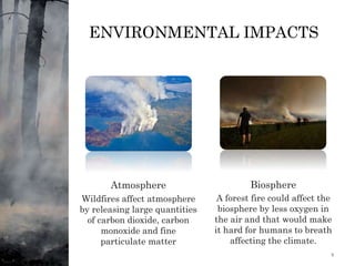 ENVIRONMENTAL IMPACTS
Atmosphere
Wildfires affect atmosphere
by releasing large quantities
of carbon dioxide, carbon
monoxide and fine
particulate matter
Biosphere
A forest fire could affect the
biosphere by less oxygen in
the air and that would make
it hard for humans to breath
affecting the climate.
1/11/2024 5
 