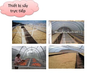 Thiết bị sấy
trực tiếp
 