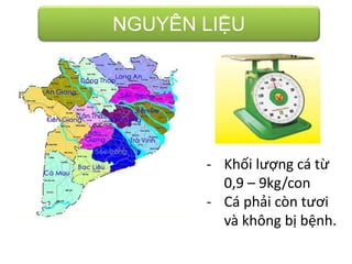 NGUYÊN LIỆU
- Khối lượng cá từ
0,9 – 9kg/con
- Cá phải còn tươi
và không bị bệnh.
 