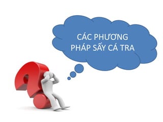 CÁC PHƯƠNG
PHÁP SẤY CÁ TRA
 