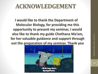 ACKNOWLEDGEMENT
I would like to thank the Department of
Molecular Biology, for providing me this
opportunity to present my seminar, I would
also like to thank my guide Chethana Ma’am,
for her valuable guidance and support through
out the preparation of my seminar. Thank you
all.
Phylum
Porifera:
Sycon-
Shryli
K
S
17
 