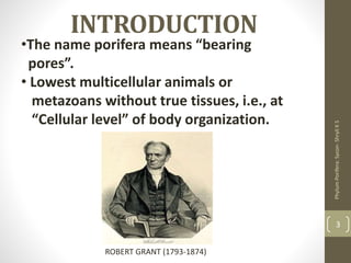 INTRODUCTION
•The name porifera means “bearing
pores”.
• Lowest multicellular animals or
metazoans without true tissues, i.e., at
“Cellular level” of body organization.
Phylum
Porifera:
Sycon-
Shryli
K
S
3
ROBERT GRANT (1793-1874)
 
