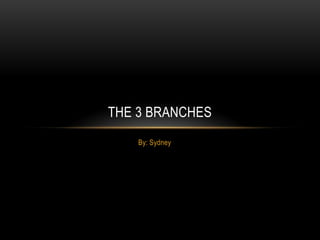 By: Sydney
THE 3 BRANCHES
 