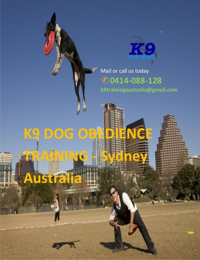 How to Solve Dog Behaviour Sydney Dog Training