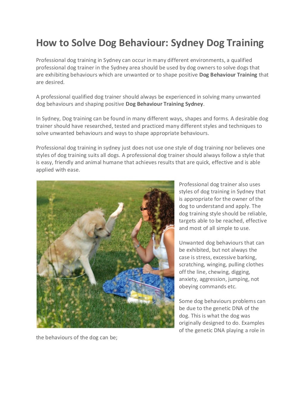 How to Solve Dog Behaviour Sydney Dog Training