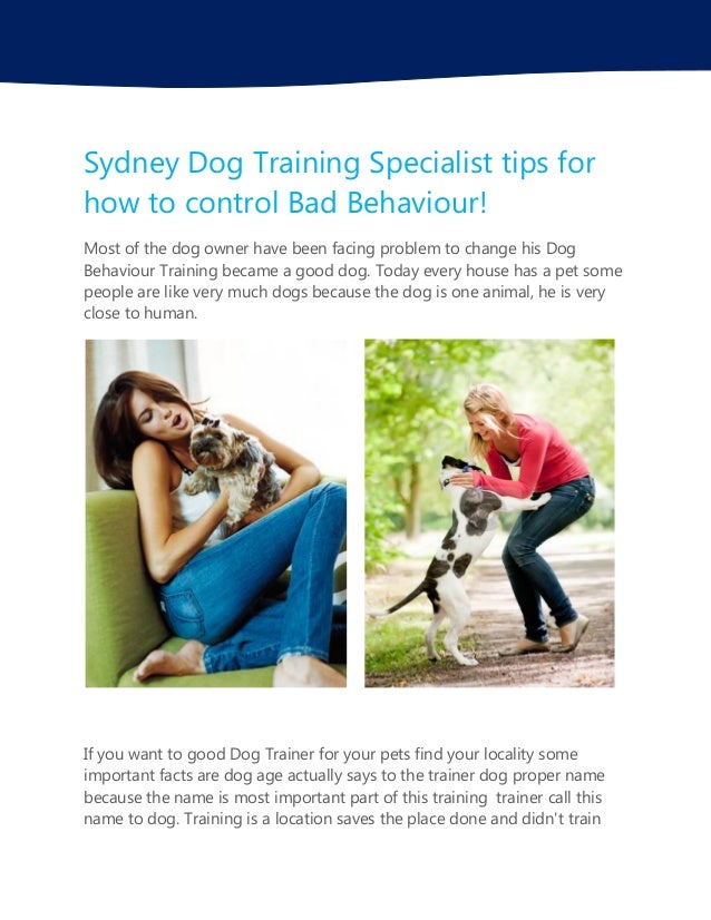 Sydney dog training specialist tips for how to control bad behaviour!