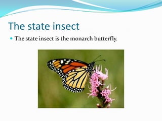 The state insectThe state insect is the monarch butterfly.