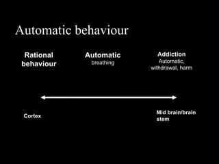 Automatic behaviour
  Rational   Automatic      Addiction
              breathing      Automatic,
 behaviour                withdrawal, harm




                            Mid brain/brain
 Cortex
                            stem
 