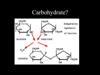 Carbohydrate?
 