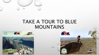 TAKE A TOUR TO BLUE
MOUNTAINS
 