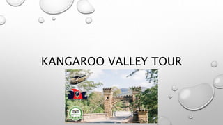 KANGAROO VALLEY TOUR
 