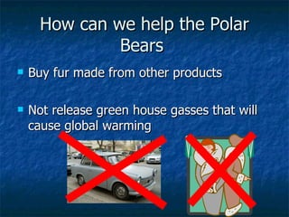 How can we help the Polar Bears  Buy fur made from other products Not release green house gasses that will cause global warming 