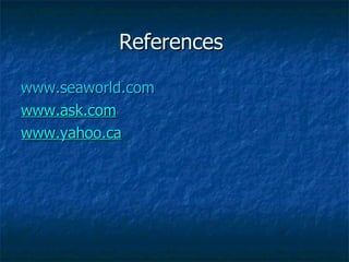 References  www.seaworld.com www.ask.com www.yahoo.ca 