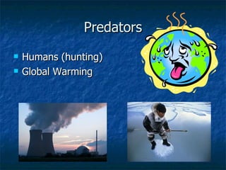 Predators Humans (hunting) Global Warming 