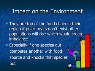 Impact on the Environment They are top of the food chain in their region if polar bears don’t exist other populations will rise which would create imbalance  Especially if one species out  competes another with food  source and knocks that species  out 