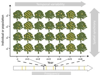 Understanding and modeling masting in European tree species | PDF ...
